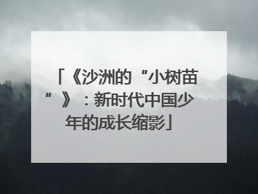 《沙洲的“小树苗”》：新时代中国少年的成长缩影