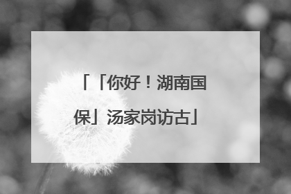 「你好！湖南国保」汤家岗访古