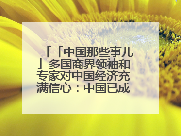 「中国那些事儿」多国商界领袖和专家对中国经济充满信心：中国已成为全球创新中心