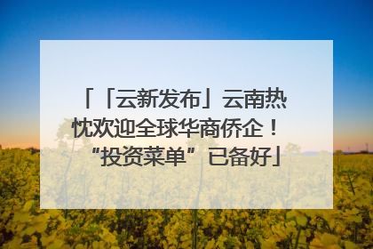 「云新发布」云南热忱欢迎全球华商侨企！“投资菜单”已备好