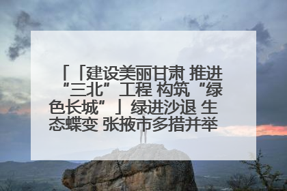 「建设美丽甘肃 推进“三北”工程 构筑“绿色长城”」绿进沙退 生态蝶变 张掖市多措并举加大防沙治沙力度
