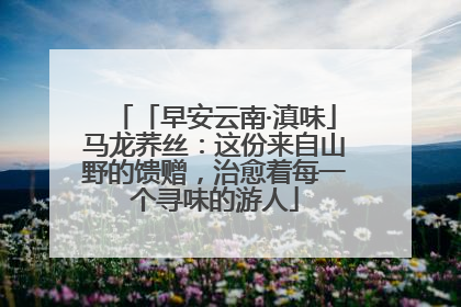 「早安云南·滇味」马龙荞丝：这份来自山野的馈赠，治愈着每一个寻味的游人