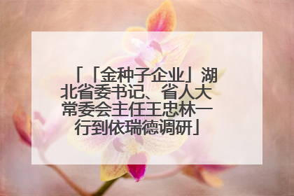 「金种子企业」湖北省委书记、省人大常委会主任王忠林一行到依瑞德调研