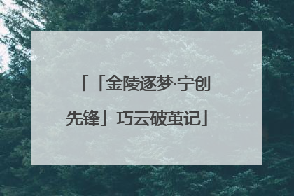 「金陵逐梦·宁创先锋」巧云破茧记