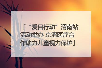 “爱目行动”渭南站活动举办 京渭医疗合作助力儿童视力保护