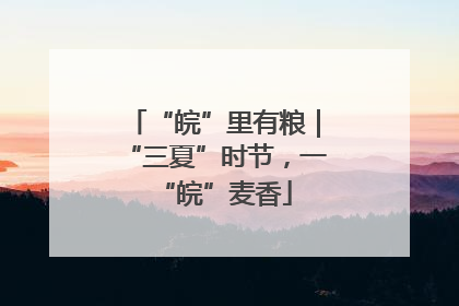 “皖”里有粮｜“三夏”时节，一“皖”麦香
