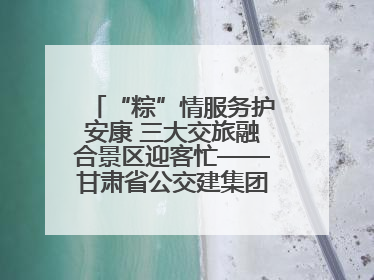 “粽”情服务护安康 三大交旅融合景区迎客忙——甘肃省公交建集团全力做好端午假期景区运营工作