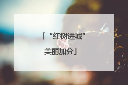 “红树进城” 美丽加分