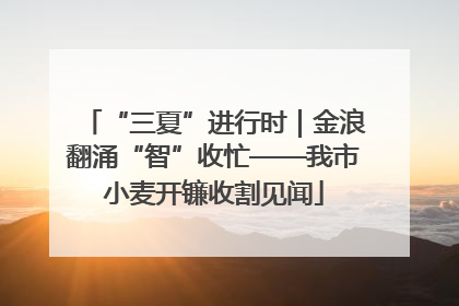 “三夏”进行时｜金浪翻涌“智”收忙——我市小麦开镰收割见闻