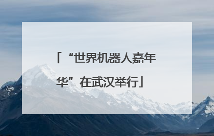 “世界机器人嘉年华”在武汉举行