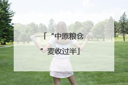 “中原粮仓”麦收过半