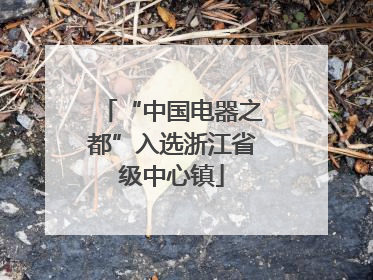 “中国电器之都”入选浙江省级中心镇