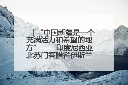 “中国新疆是一个充满活力和希望的地方”——印度尼西亚北苏门答腊省伊斯兰教代表团参访新疆