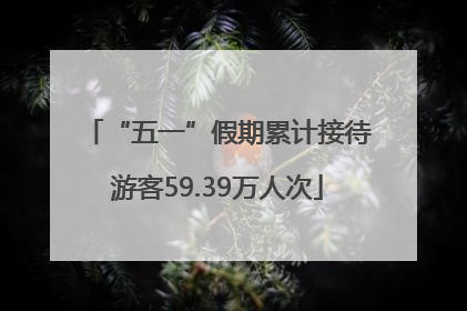 “五一”假期累计接待游客59.39万人次