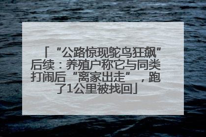 “公路惊现鸵鸟狂飙”后续：养殖户称它与同类打闹后“离家出走”，跑了1公里被找回