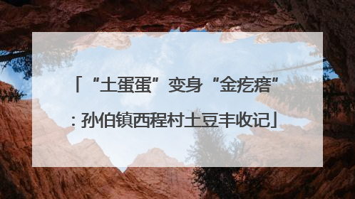 “土蛋蛋”变身“金疙瘩”：孙伯镇西程村土豆丰收记