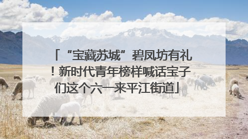 “宝藏苏城”碧凤坊有礼！新时代青年榜样喊话宝子们这个六一来平江街道