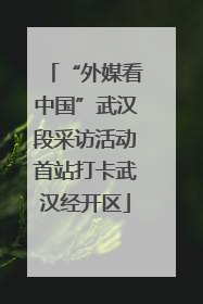 “外媒看中国”武汉段采访活动首站打卡武汉经开区