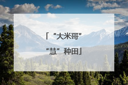 “大米哥”“慧”种田