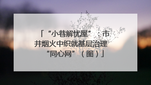 “小巷解忧屋”：市井烟火中织就基层治理“同心网”（图）
