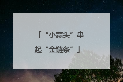 “小蒜头”串起“金链条”