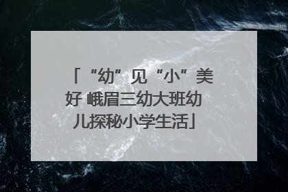 “幼”见“小”美好 峨眉三幼大班幼儿探秘小学生活