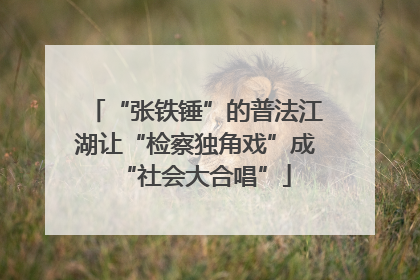 “张铁锤”的普法江湖让“检察独角戏”成“社会大合唱”
