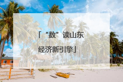 “数”读山东经济新引擎