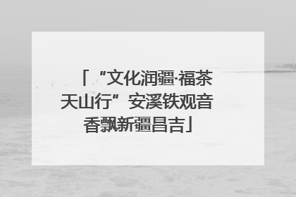 “文化润疆·福茶天山行”安溪铁观音香飘新疆昌吉