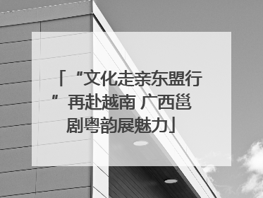“文化走亲东盟行”再赴越南 广西邕剧粤韵展魅力