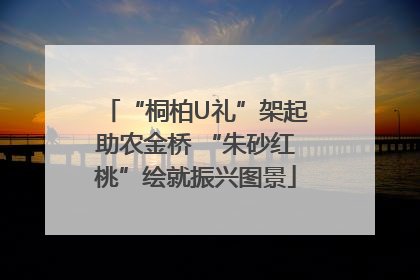 “桐柏U礼”架起助农金桥 “朱砂红桃”绘就振兴图景