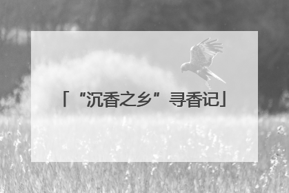 “沉香之乡”寻香记
