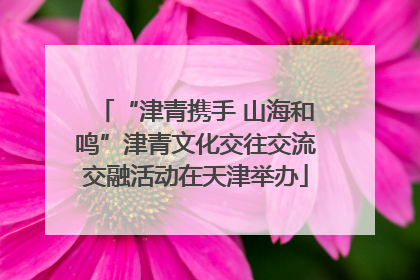 “津青携手 山海和鸣”津青文化交往交流交融活动在天津举办