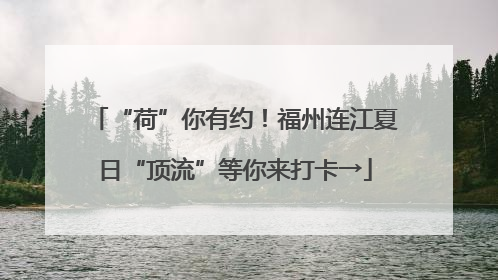 “荷”你有约！福州连江夏日“顶流”等你来打卡→