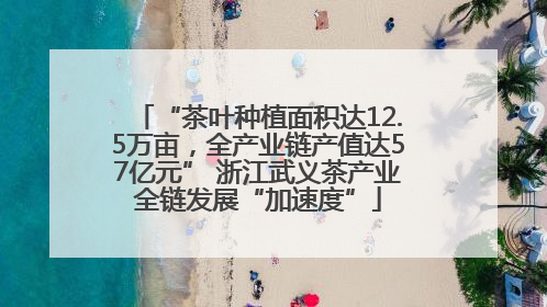 “茶叶种植面积达12.5万亩，全产业链产值达57亿元” 浙江武义茶产业全链发展“加速度”