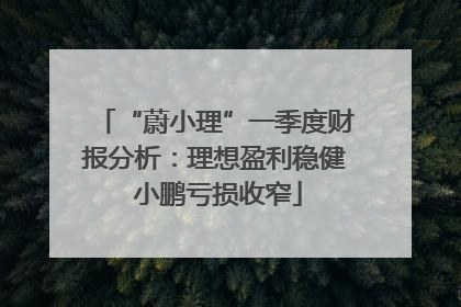 “蔚小理”一季度财报分析：理想盈利稳健 小鹏亏损收窄