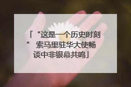 “这是一个历史时刻” 索马里驻华大使畅谈中非银幕共鸣