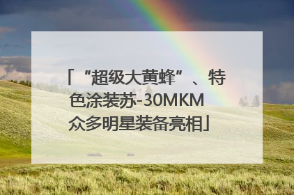 “超级大黄蜂”、特色涂装苏-30MKM 众多明星装备亮相
