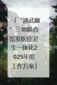 “通武廊”三地联合签发医疗卫生一体化2025年度工作方案