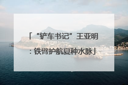 “铲车书记”王亚明：铁臂护航夏种水脉