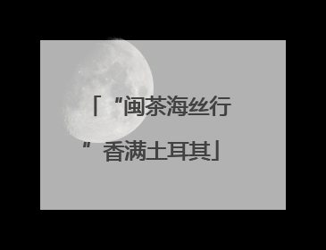 “闽茶海丝行”香满土耳其
