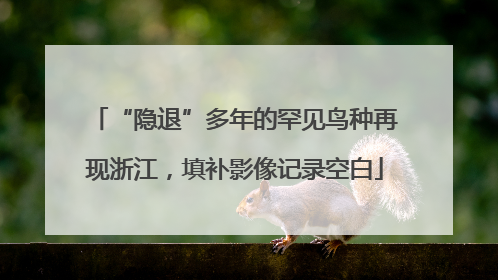 “隐退”多年的罕见鸟种再现浙江，填补影像记录空白