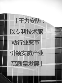 王力安防：以专利技术驱动行业变革 引领安防产业高质量发展