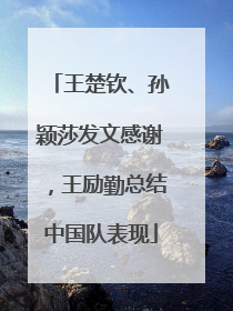 王楚钦、孙颖莎发文感谢，王励勤总结中国队表现