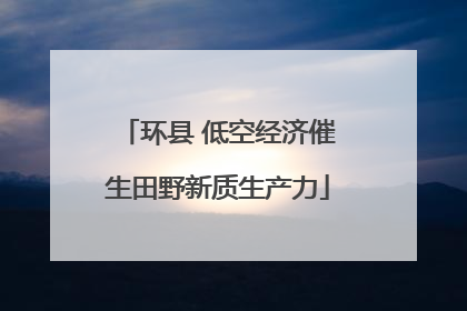 环县 低空经济催生田野新质生产力