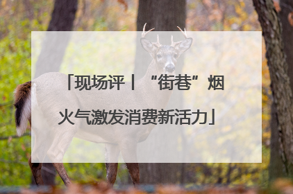 现场评丨“街巷”烟火气激发消费新活力