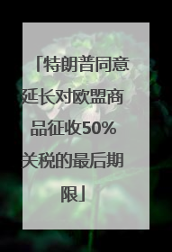 特朗普同意延长对欧盟商品征收50%关税的最后期限