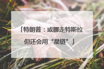 特朗普：或挪走特斯拉 但还会用“星链”