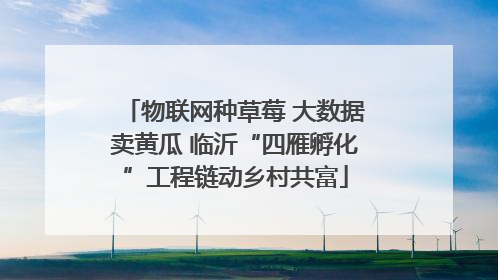 物联网种草莓 大数据卖黄瓜 临沂“四雁孵化”工程链动乡村共富