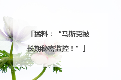猛料：“马斯克被长期秘密监控！”